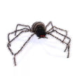 Araña peluda patas largas de 70 cm