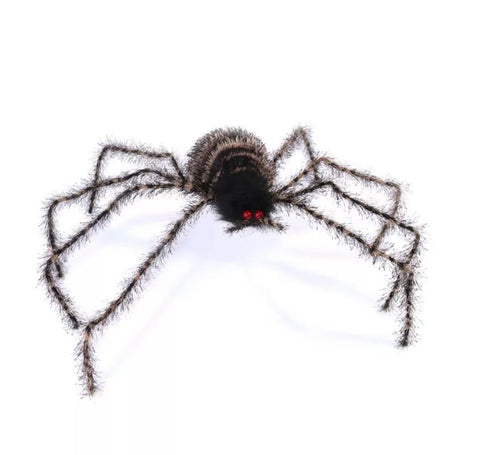 Araña peluda patas largas de 70 cm