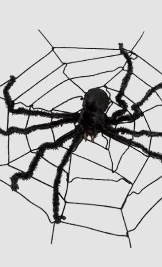 Spiders and cobwebs
