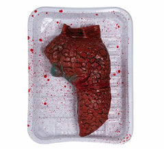 20 cm Vinyl Lung Tray