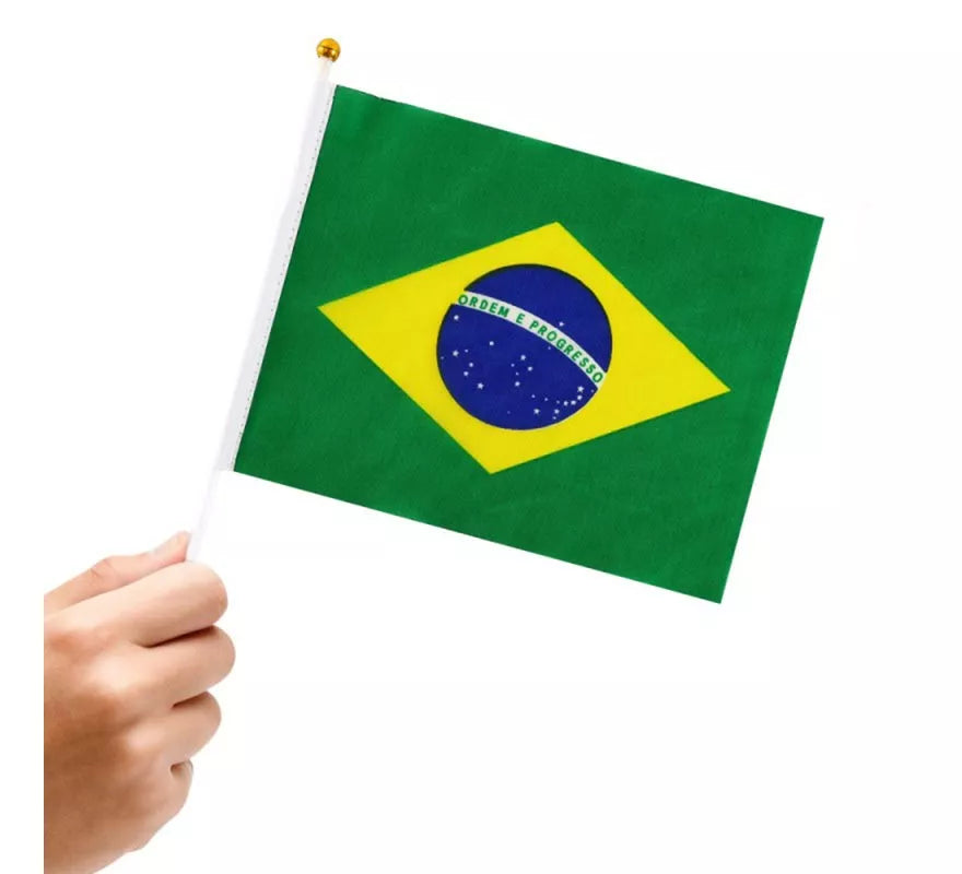 Translation missing: en.Banderín de Brasil con Mango de 20x30 cm