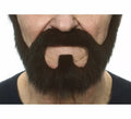 Barba negra