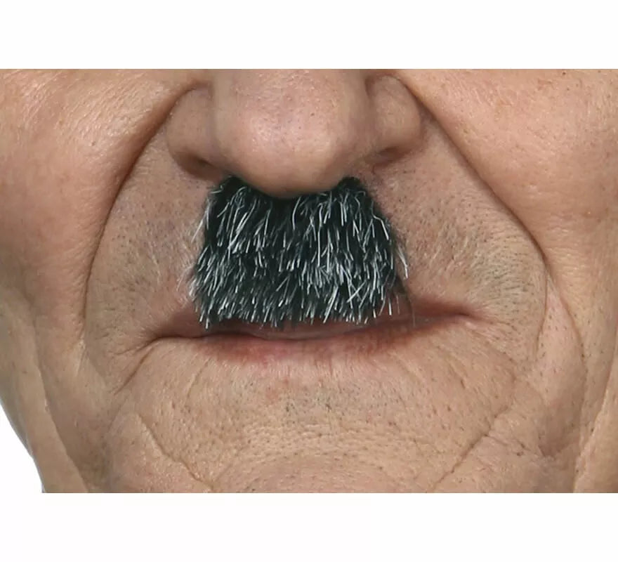 Translation missing: en.Bigote de Charlot canoso