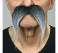 Bigote de Chino negro canoso