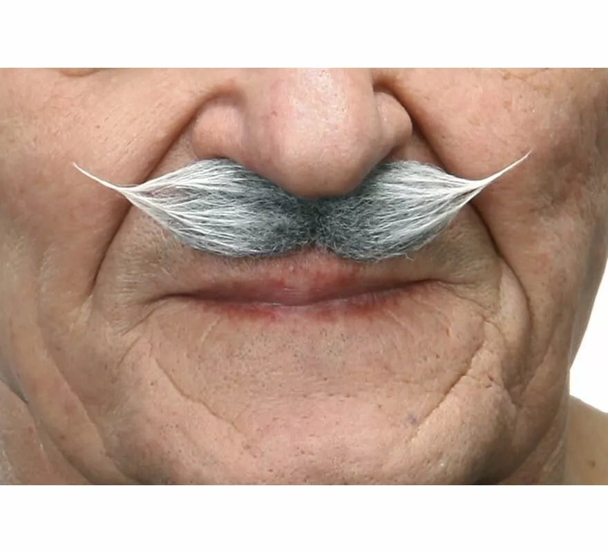 Translation missing: en.Bigote de Época canoso