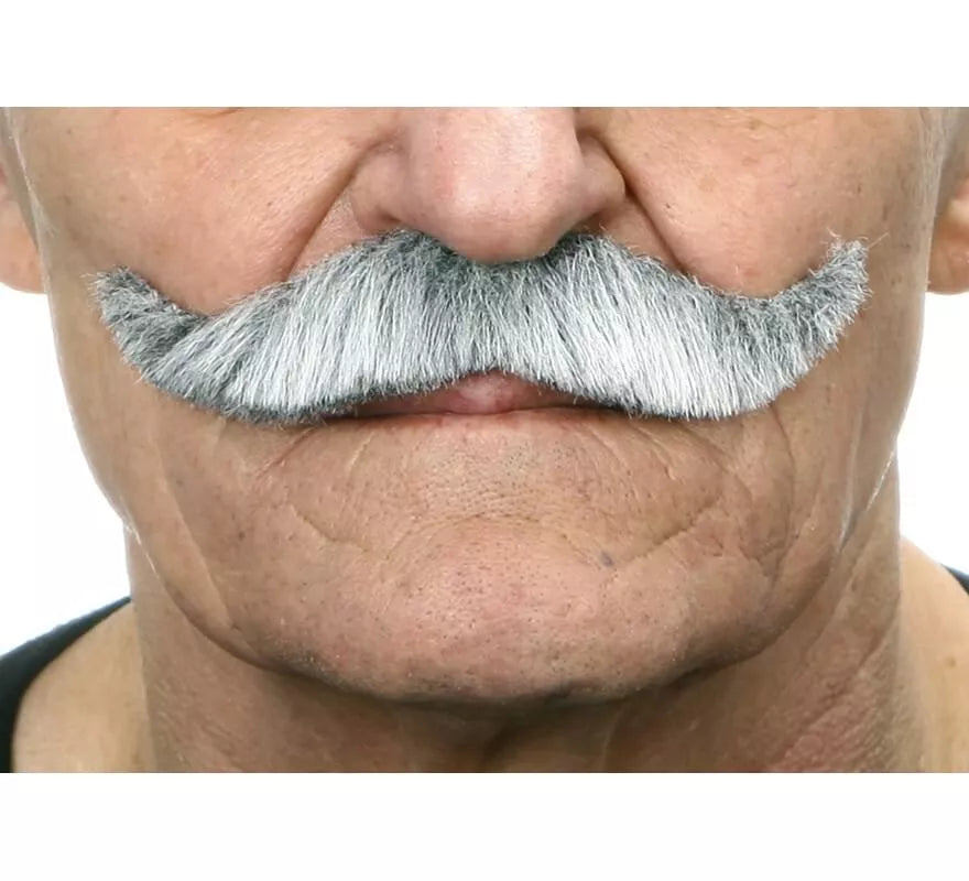 Bigote de Inglés canoso