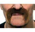 Bigote de Mexicano castaño