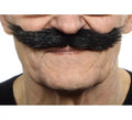 Bigote despuntado de Pintor
