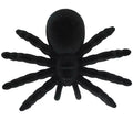 Blíster 1 Araña de 14 cm