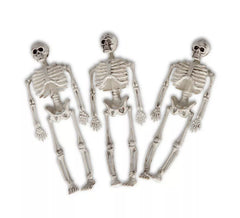 Bag of 3 Skeletons of 20x8x8 cm