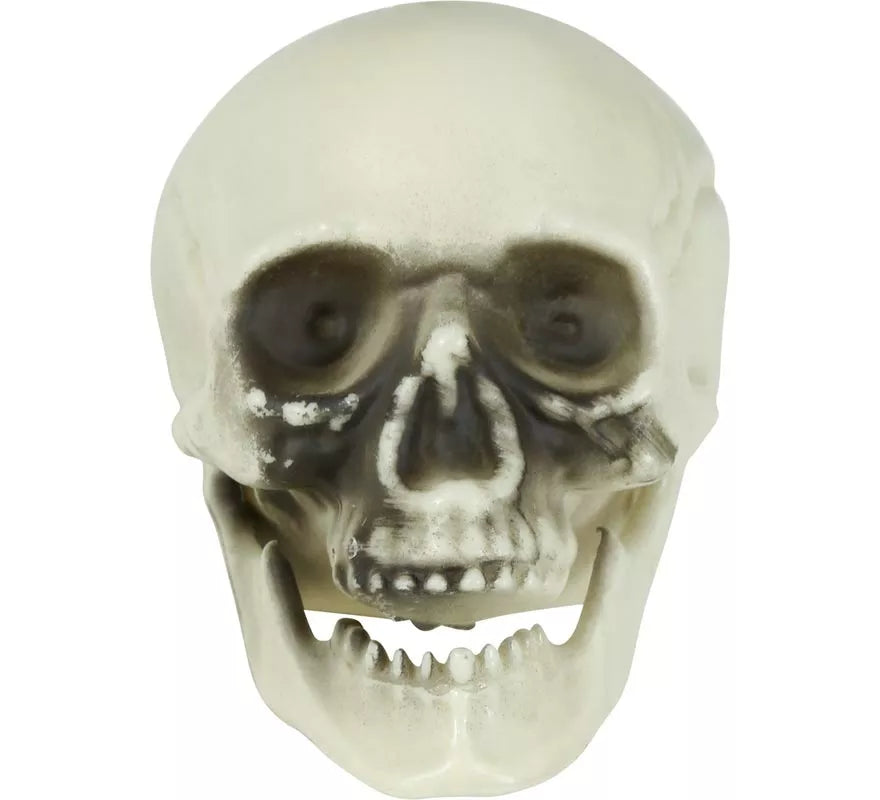 Bolsa 6 Calaveras de 6 cm