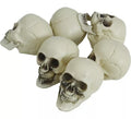 Bolsa 6 Calaveras de 6 cm