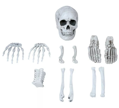 Bolsa con 12 Huesos