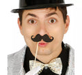 Bolsa de 6 bigotes con palo ideal para photocall