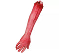 Brazo amputado de 44 cm