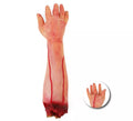 Brazo Cortado falsa de foam de 47x12x7 cm