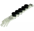 Brazo Esqueleto 50 cm con 5 Vasitos