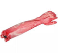 Brazo Mutilado con Sangre