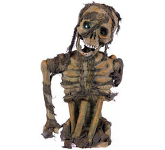 Green Skeleton Bust with Light 57x34 cm
