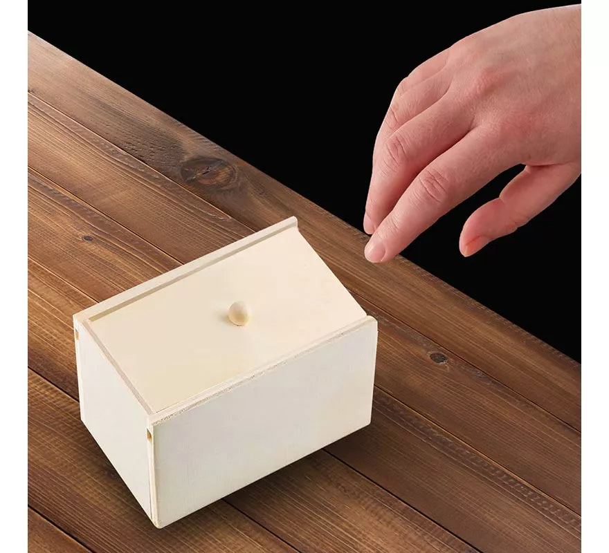 Caja de Madera con Araña de Broma