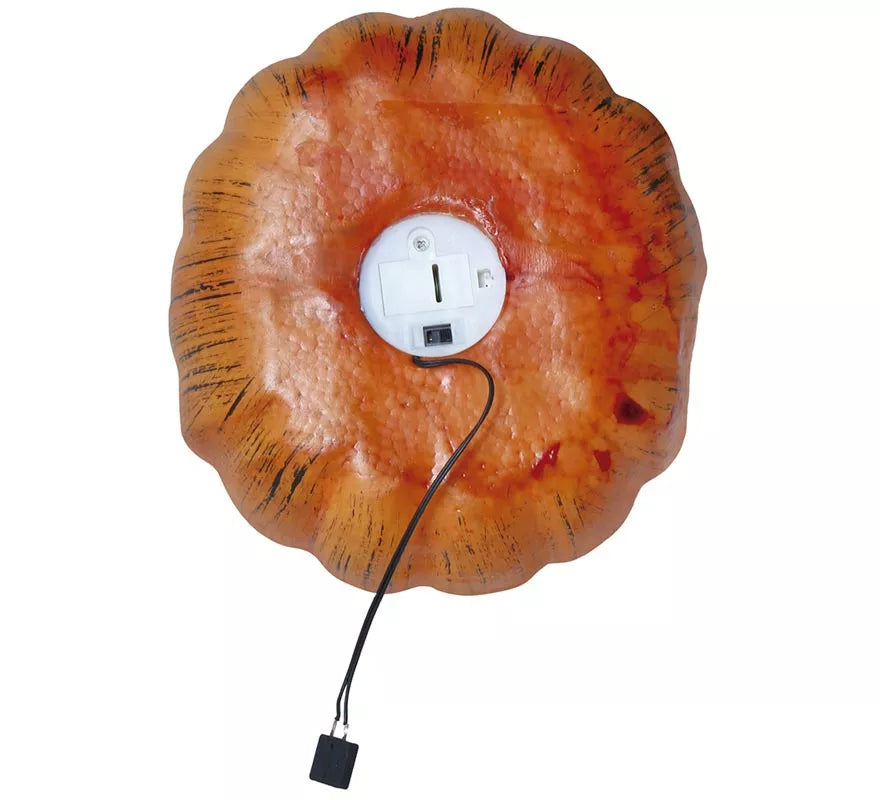 Calabaza 20 cms
