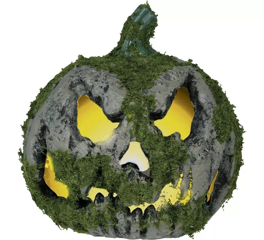 Calabaza con Musgo y Luz de 20 cm