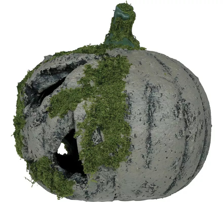 Calabaza con Musgo y Luz de 20 cm