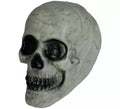 Calavera 20 cm