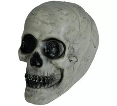 Skull 20 cm