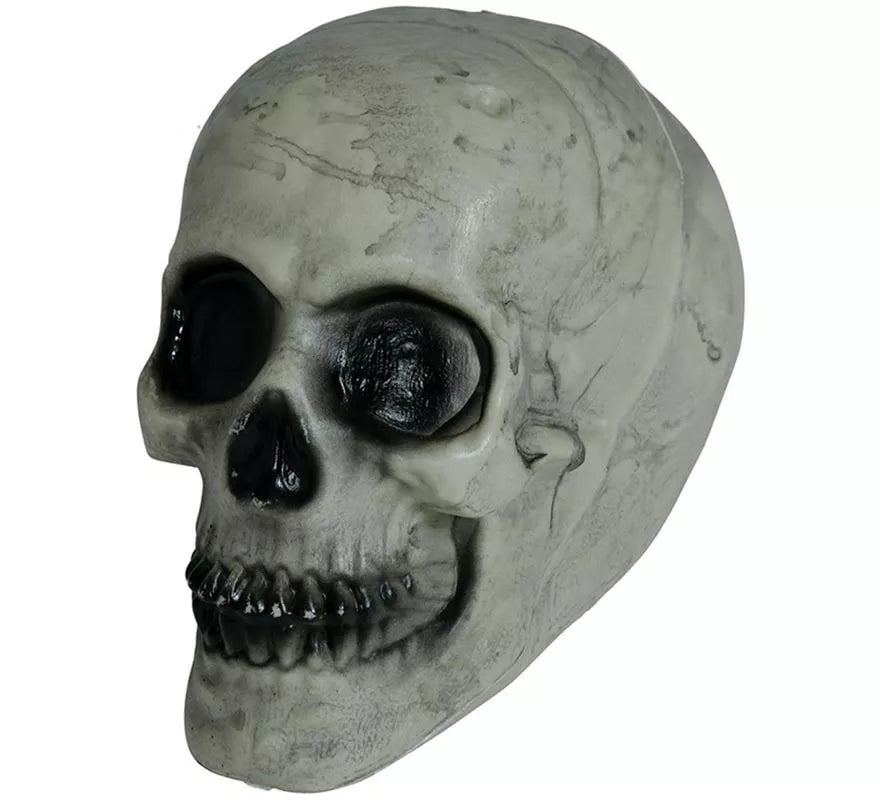 Translation missing: en.Calavera 20 cm