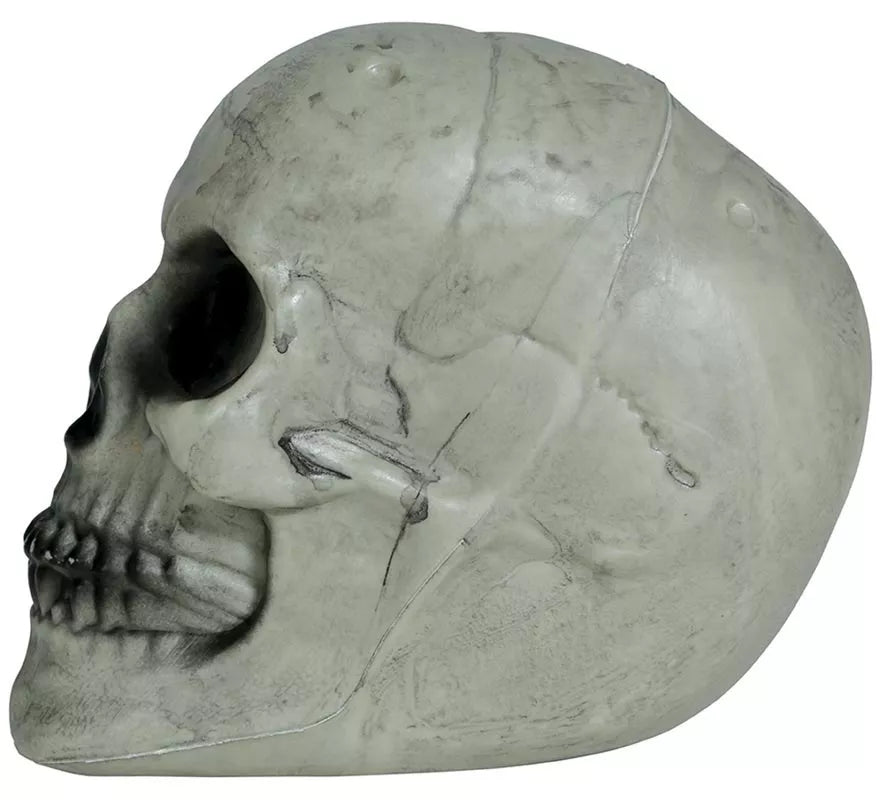Calavera 20 cm