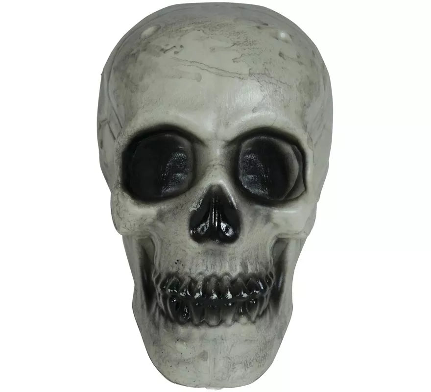 Translation missing: en.Calavera 20 cm