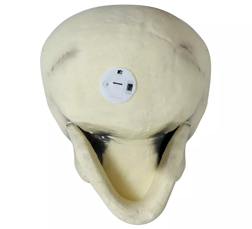Calavera 32 cm de Foam