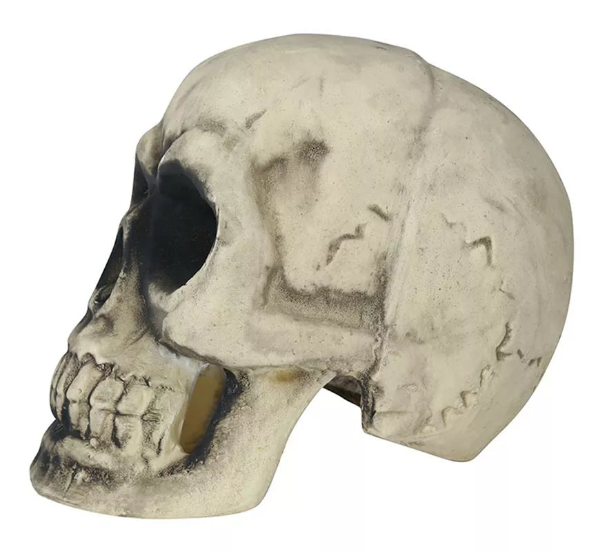 Translation missing: en.Calavera 32 cm de Foam