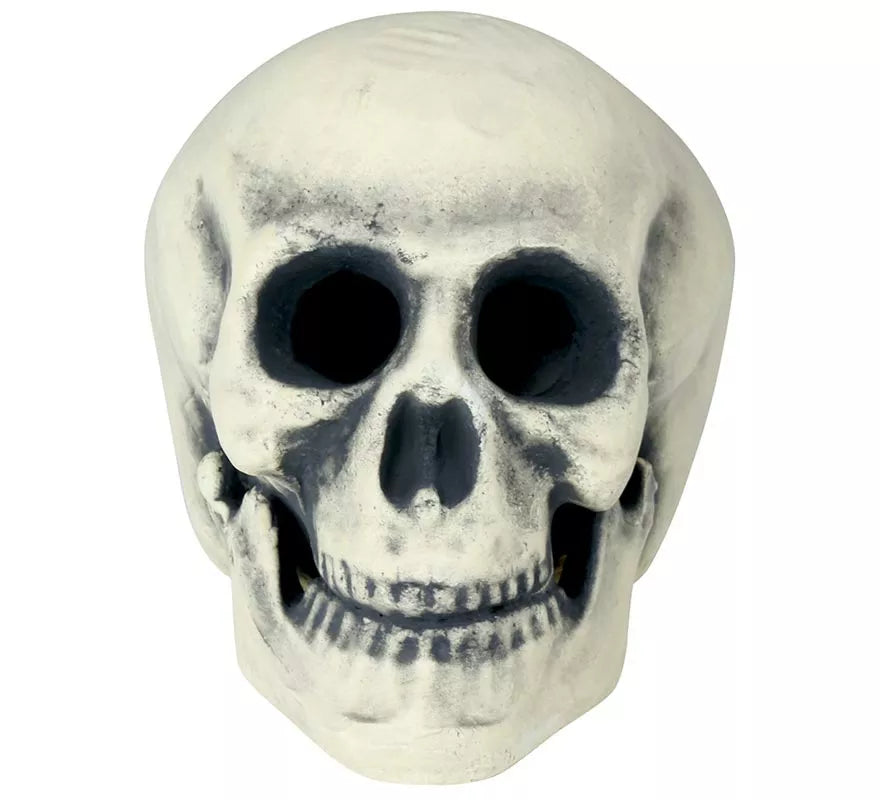 Calavera 32 cm de Foam