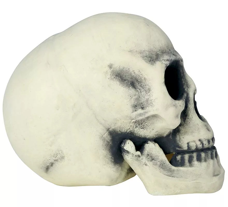 Calavera 32 cm de Foam