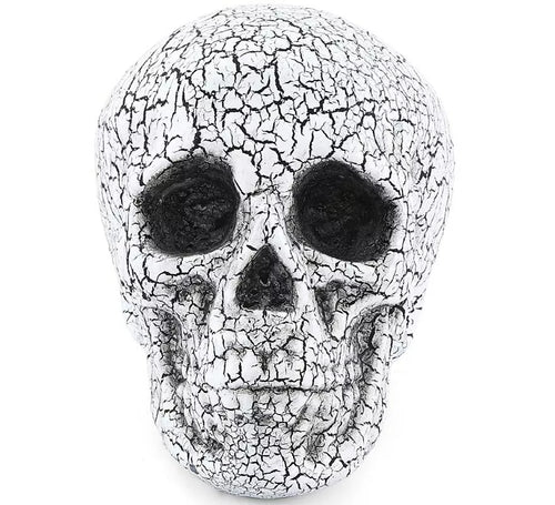 Calavera Agrietado de 20x15 cm