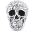 Calavera Agrietado de 20x15 cm