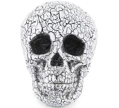 Cracked Skull 20x15 cm