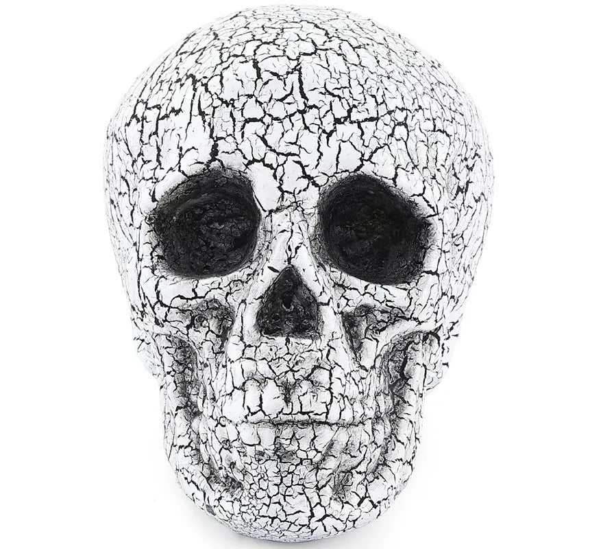 Translation missing: en.Calavera Agrietado de 20x15 cm