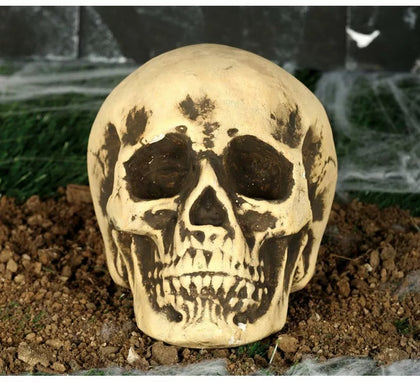 Calavera Amarillenta 17 cm