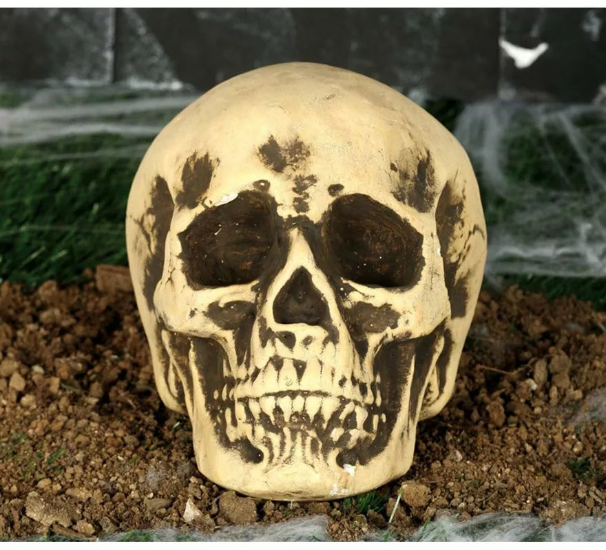 Calavera Amarillenta 17 cm