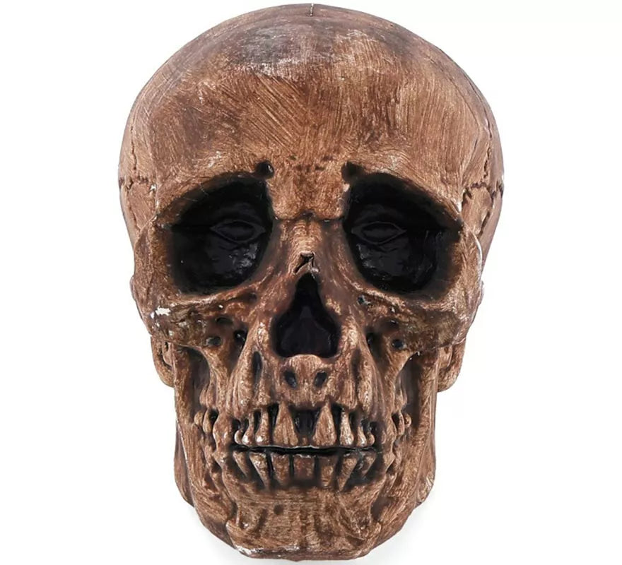 Translation missing: en.Calavera Bronce de 16 cm