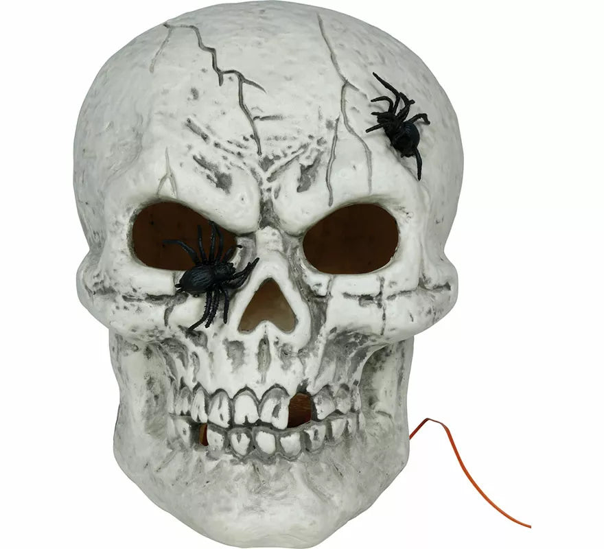 Translation missing: en.Calavera con Arañas con Luz de 35 cm