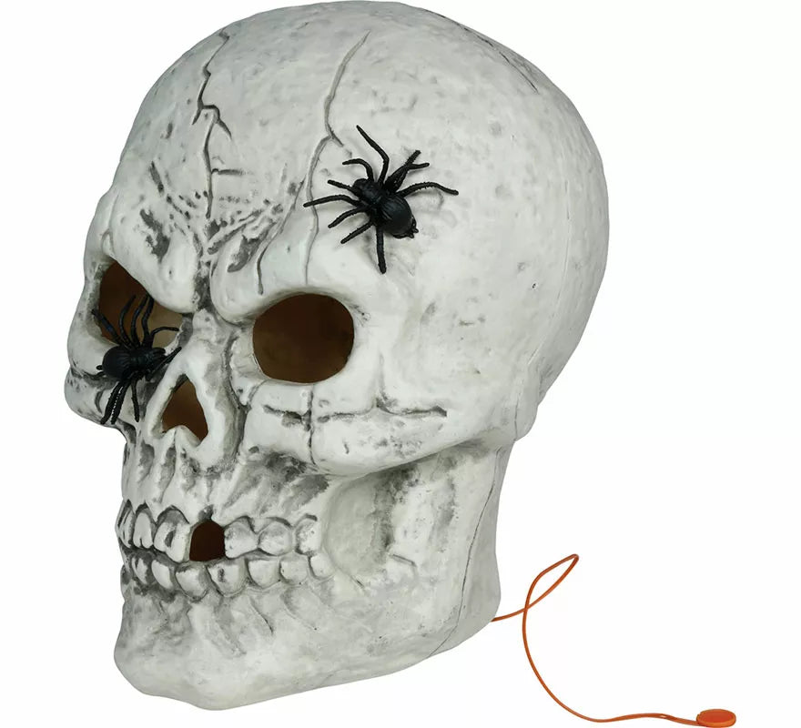 Translation missing: en.Calavera con Arañas con Luz de 35 cm