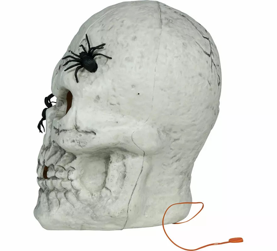Translation missing: en.Calavera con Arañas con Luz de 35 cm