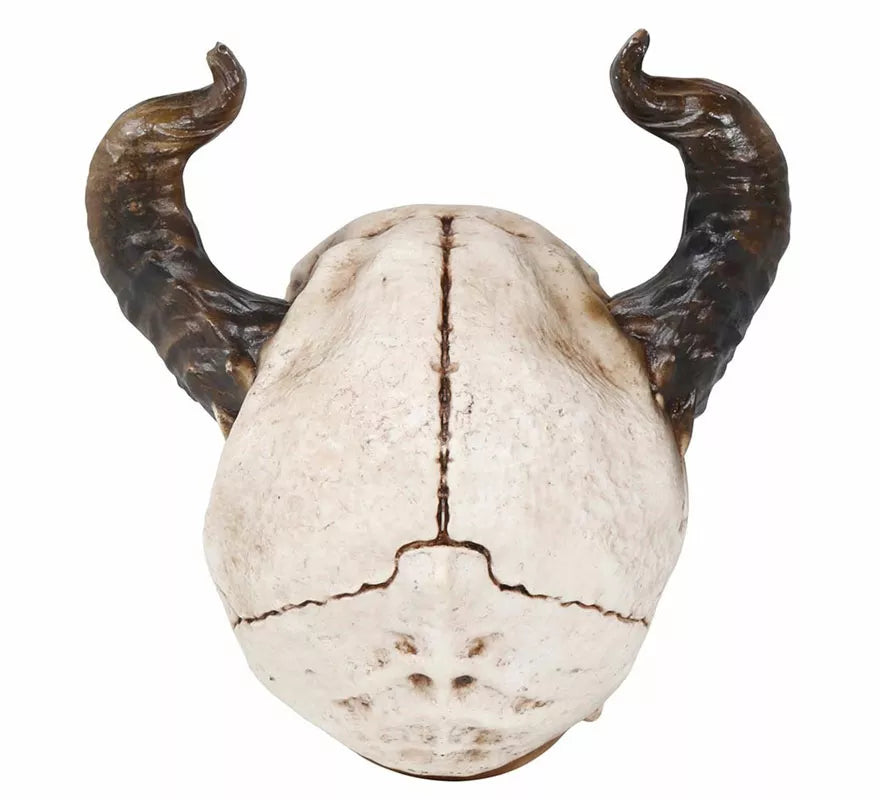 Calavera con Cuernos de 20 cm