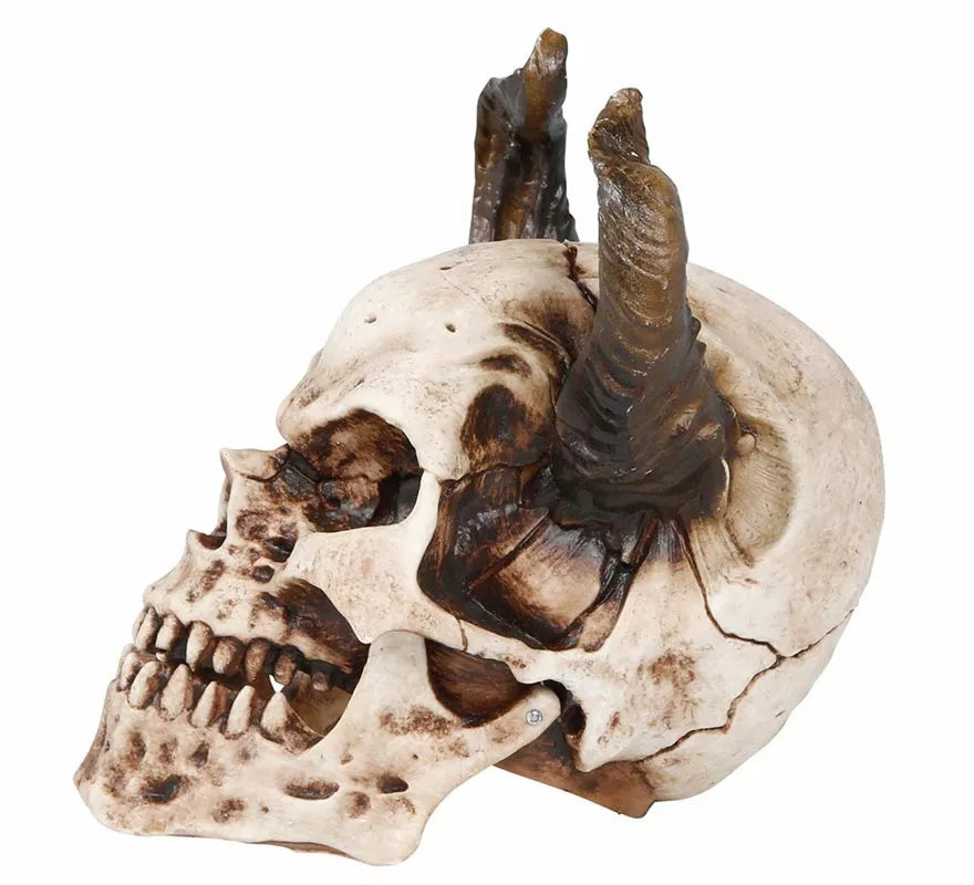 Translation missing: en.Calavera con Cuernos de 20 cm