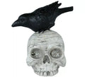 Calavera con Cuervo de Resina de 14x9 cm
