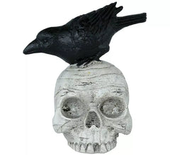 Resin Skull with Raven 14x9 cm